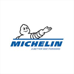 Michelin X® Tweel™ Turf